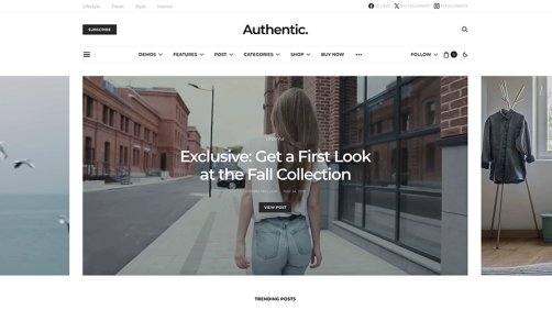 Authentic 简约时尚资讯博客主题